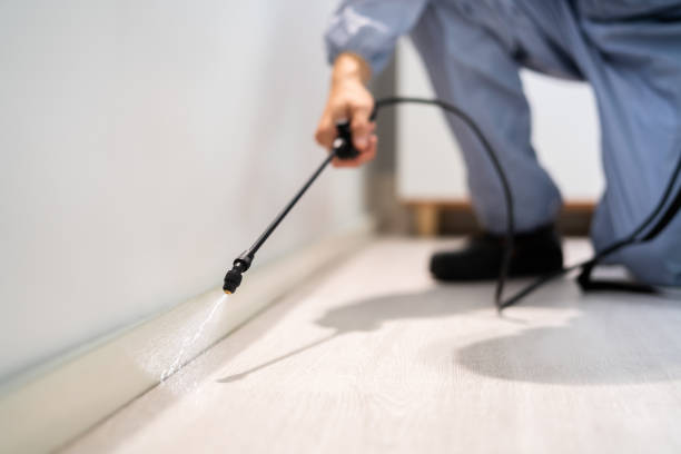 Licensed Termite Control service in Perryman, MD - Nex Pest Control
