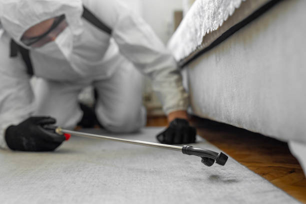 Professional Termite Control technician working in Perryman, MD