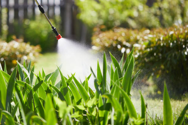 24/7 Emergency Termite Control experts in Perryman, MD