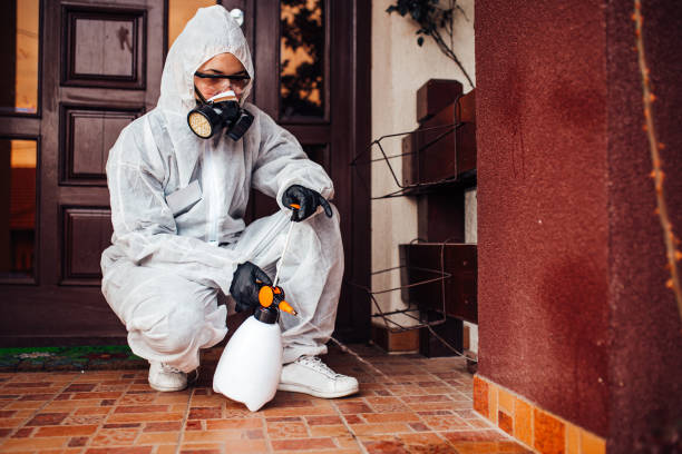 Reliable Termite Control contractor in Perryman, MD by Nex Pest Control