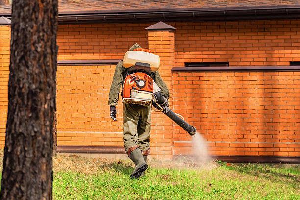 Trusted Termite Control service in Perryman, MD - Nex Pest Control